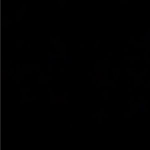 Meet your Posher, Lia